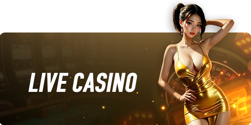 banner live casino vinbet